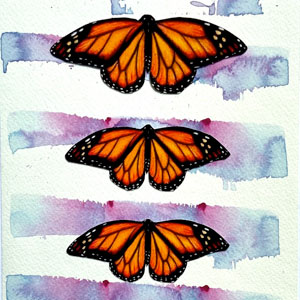 Monarchs Three